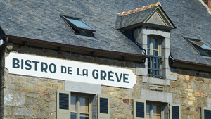 Enlèvement arbre urgence Brive-la-Gaillarde
